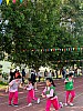 113_c06235.jpg
