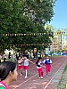 113_c06242.jpg