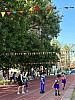 113_c06293.jpg
