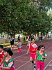 113_c06323.jpg