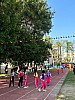 113_c06331.jpg