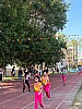 113_c06334.jpg