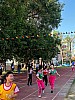 113_c06335.jpg