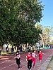 113_c06338.jpg