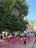 113_c06339.jpg
