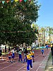 113_c06358.jpg