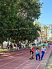 113_c06374.jpg