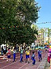 113_c06376.jpg