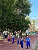 113_c06377.jpg