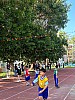 113_c06379.jpg