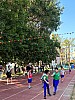 113_c06380.jpg