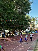 113_c06389.jpg