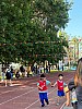113_c06391.jpg