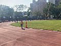 113_c06429.jpg