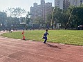 113_c06432.jpg