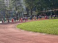 113_c06443.jpg