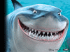 頭像(photo210.gif)