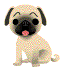 頭像(photo241.gif)