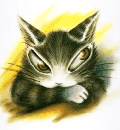頭像(photo262.gif)